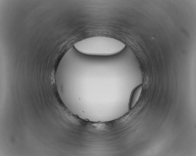X0000111360478200907101000