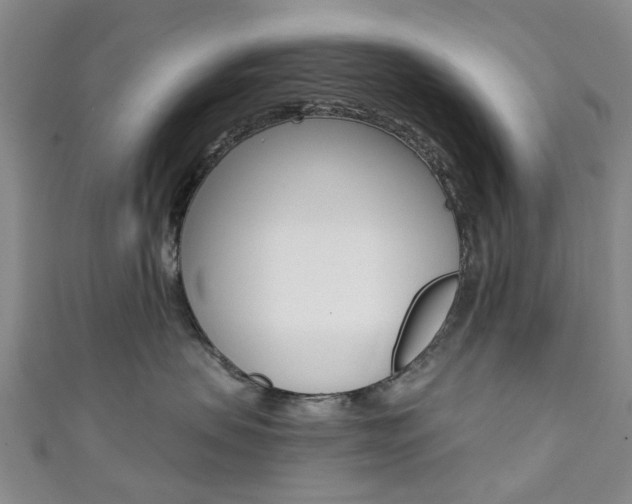 X0000111360479200907101000