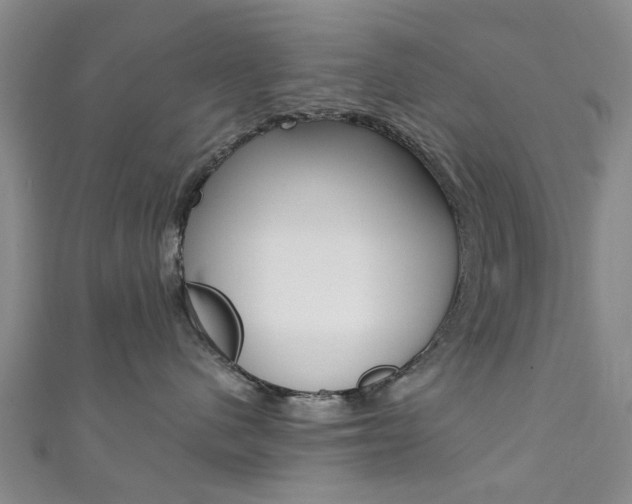 X0000111360480200907101000