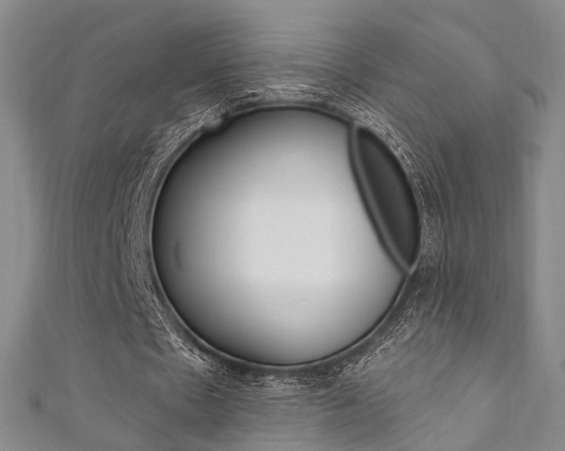X0000111360481200907100959