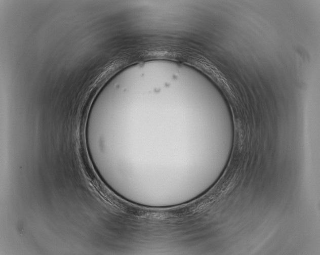 X0000111360482200907100959
