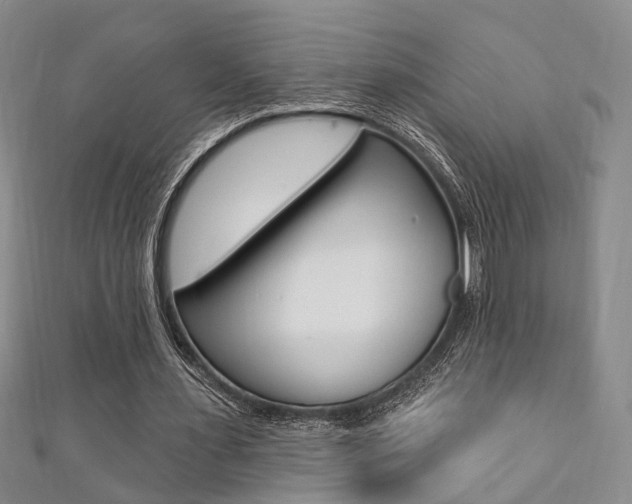 X0000111360483200907100959