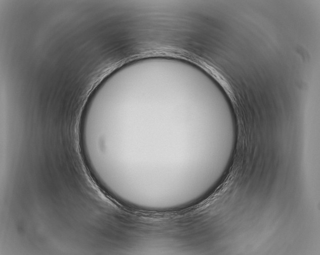 X0000111360485200907100959