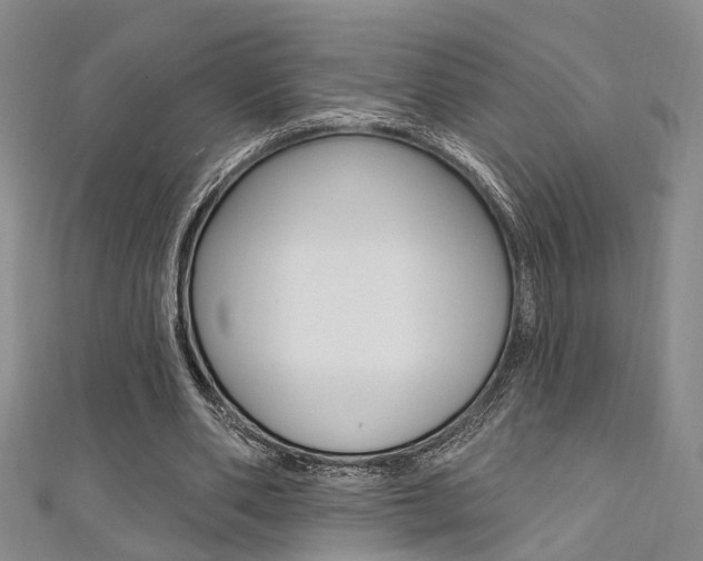 X0000111360486200907100959