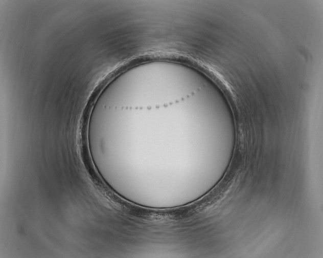 X0000111360487200907100959