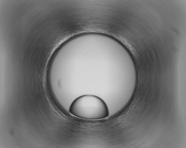X0000111360488200907100959