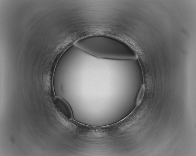 X0000111360489200907100959