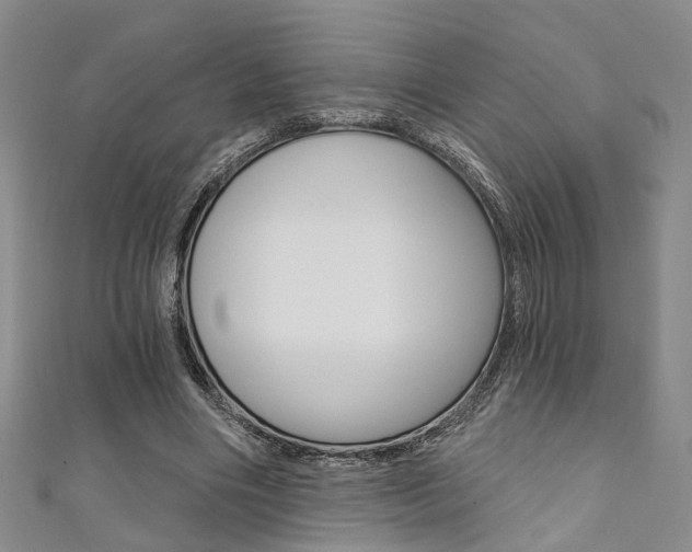 X0000111360490200907100959