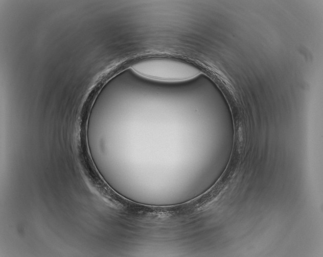 X0000111360492200907100959