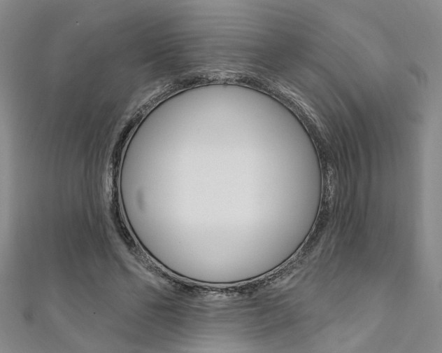 X0000111360494200907100959