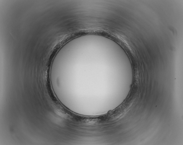 X0000111360495200907100959