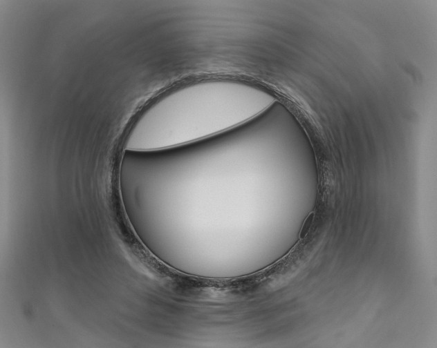X0000111360496200907100959