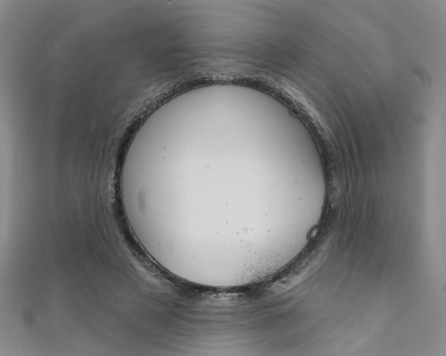 X0000111360497200907100959
