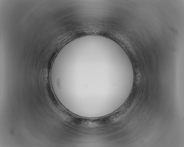 X0000111360498200907100959