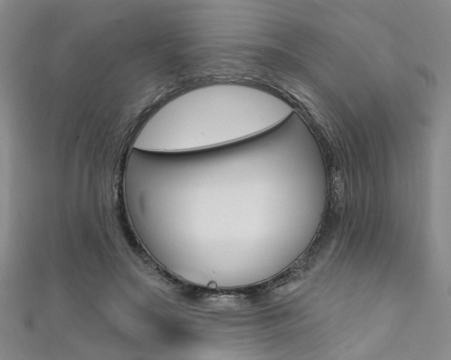 X0000111360499200907100959