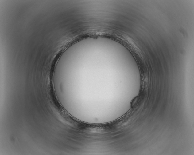 X0000111360500200907100959