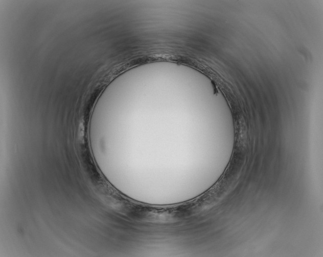 X0000111360502200907100959