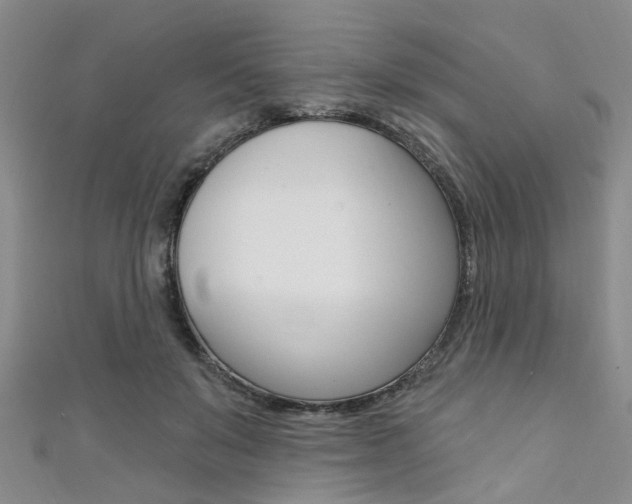 X0000111360503200907100959