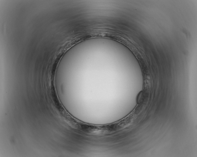 X0000111360504200907100959