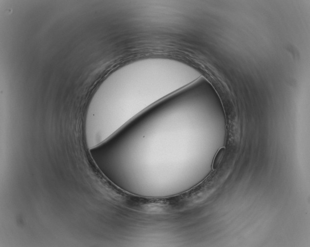 X0000111360505200907100959