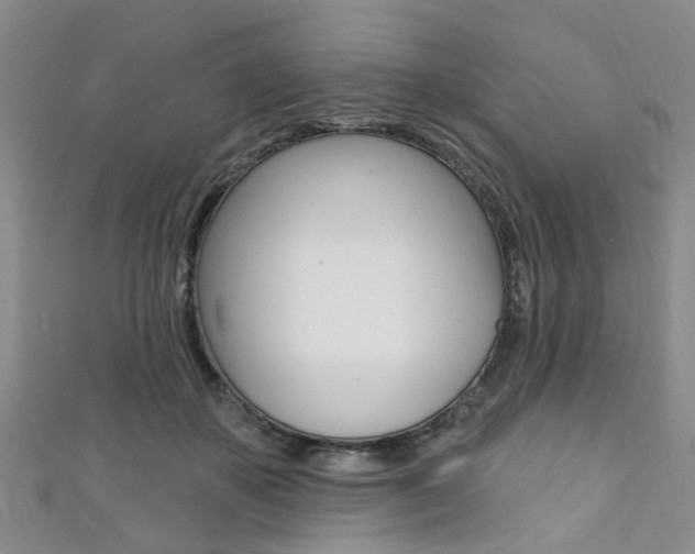 X0000111360507200907100959