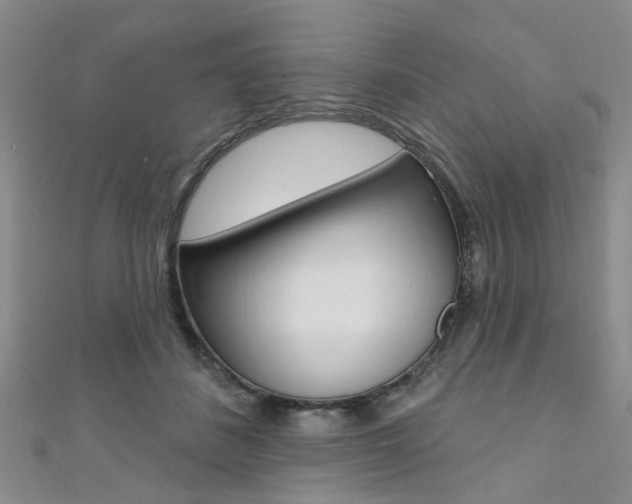 X0000111360508200907100959