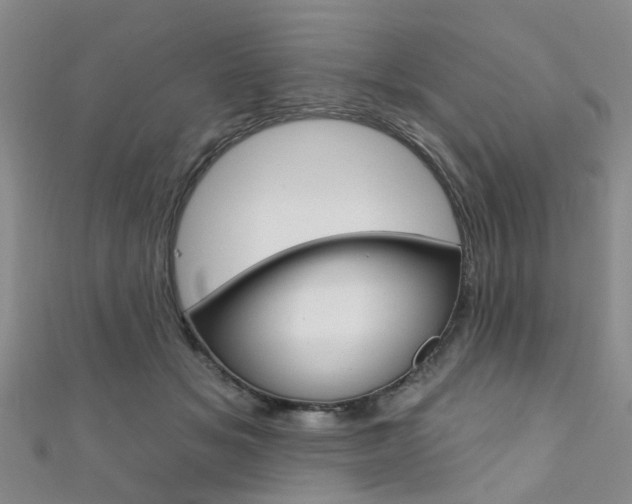 X0000111360509200907100959