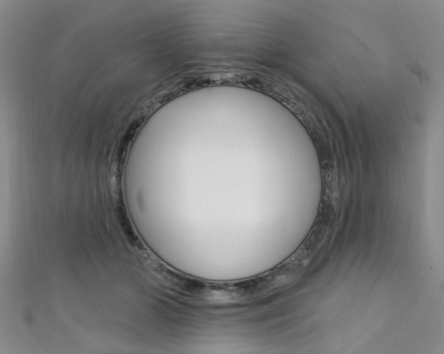 X0000111360510200907100959