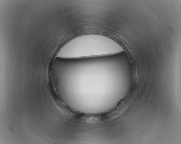 X0000111360512200907100959