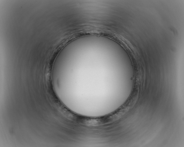 X0000111360513200907100959