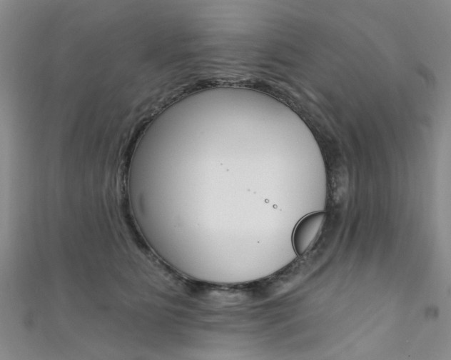 X0000111360515200907100959