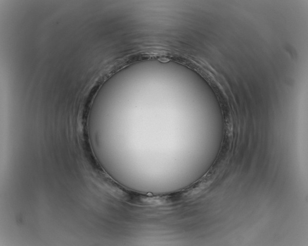 X0000111360516200907100959