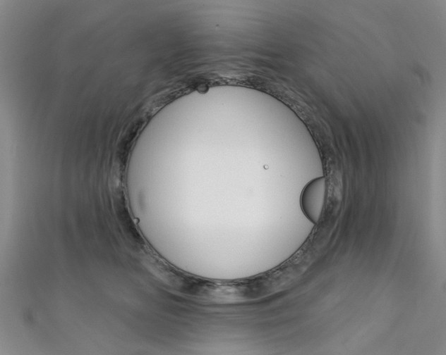 X0000111360518200907100959