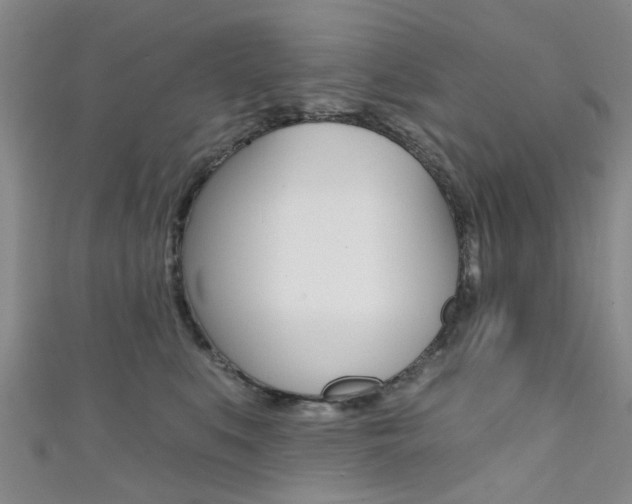 X0000111360519200907100959