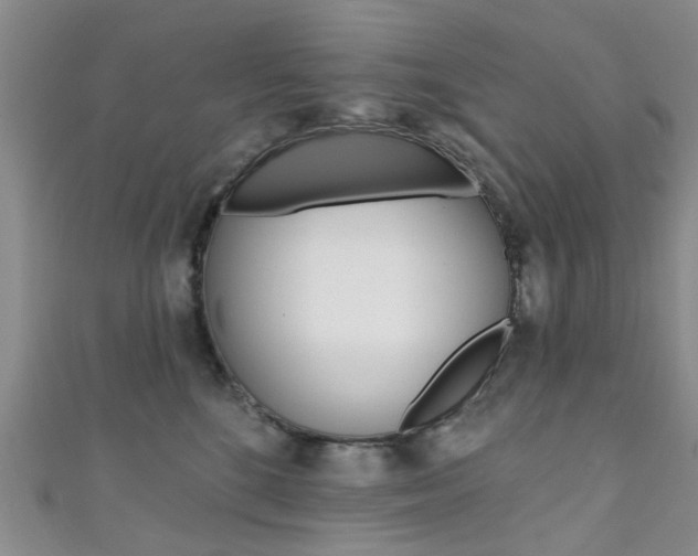 X0000111360520200907100959