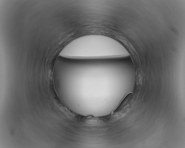 X0000111360521200907100959