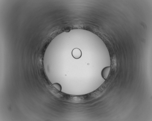 X0000111360522200907100959