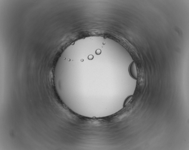 X0000111360523200907100959