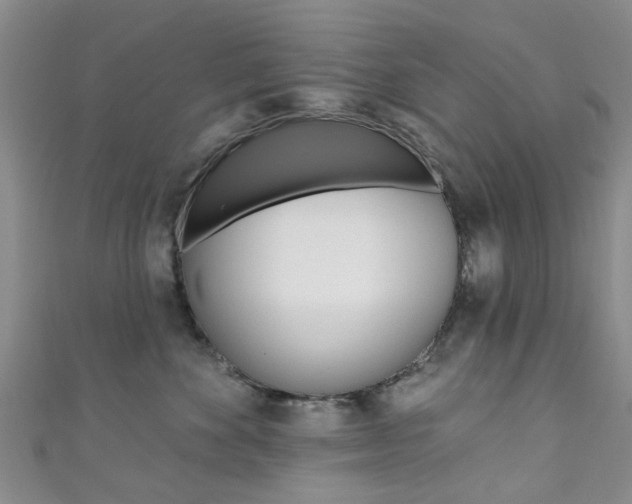X0000111360524200907100959