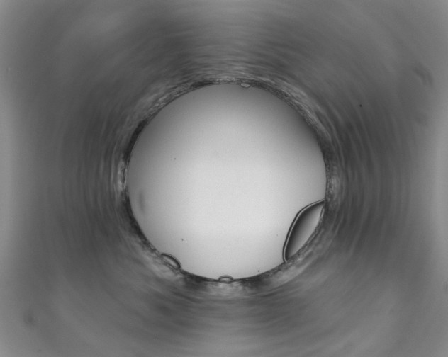 X0000111360525200907100959