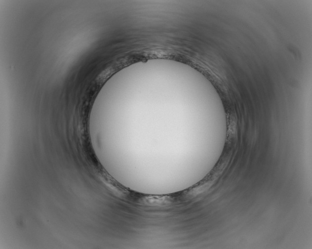 X0000111360526200907100959