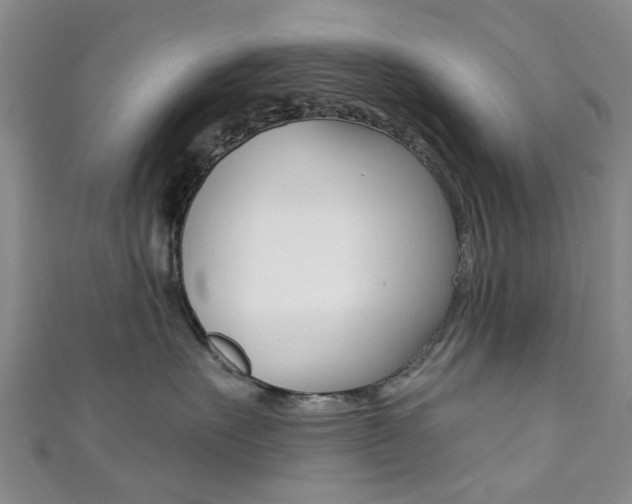 X0000111360527200907100959