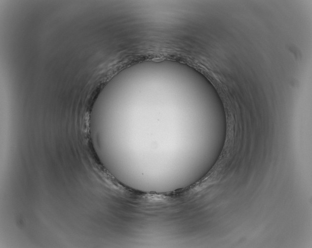 X0000111360528200907100959