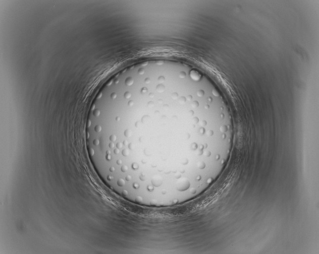 X0000111360529200907100958