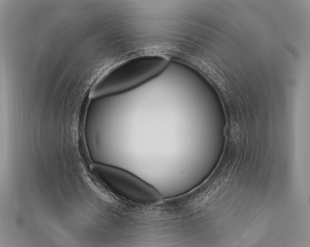 X0000111360530200907100958