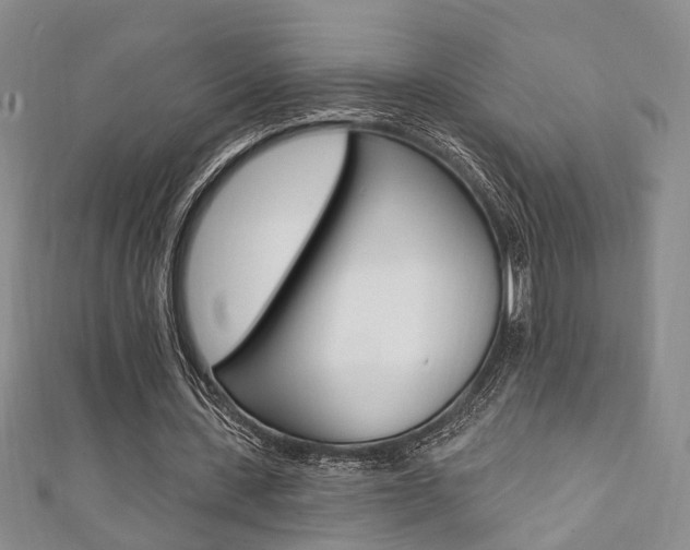 X0000111360531200907100958