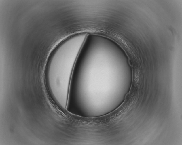 X0000111360532200907100958