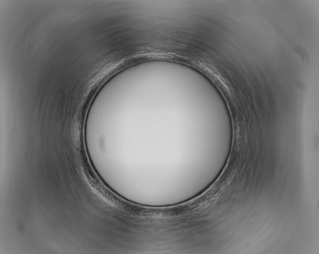 X0000111360533200907100958