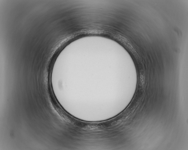 X0000111360534200907100958
