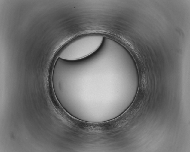 X0000111360535200907100958